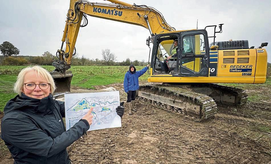 Schaufeln für den Artenschutz: In der Hellinghauser Mersch und der Lusebredde rollt seit Anfang Oktober der Bagger, um Lebensraum für Wiesenvögel zu schaffen, erklärt Petra Salm von der Arbeitsgemeinschaft biologischer Umweltschutz (Abu). Foto: Cegelski