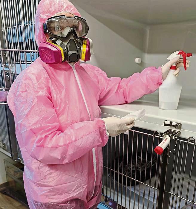 Mit starken Desinfektionsmitteln und strenger Quarantäne kämpfen die Tierheim-Mitarbeiter gegen die Parvovirose.