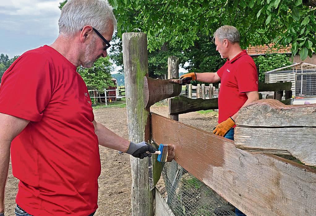 Mit vereinten Kräften: Ehrenamtliche des Fördervereins „Live to Love Germany“ haben jetzt auf dem Gnadenhof Solluna in Mastholte mit angepackt.