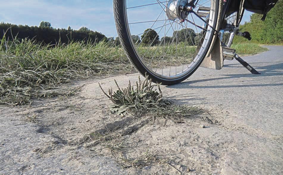 Der ADFC-Fahrradklima-Test eröffnet die Chance, dass Politik und Verwaltung ein wichtiges Feedback der radfahrenden Bürger erhalten. Foto: Hammeke (Kreis Soest)