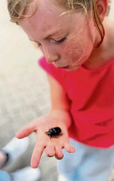 Glückskäfer?! Mia hält im Garten ihrer Urgroßcousine Gaby ihr Sommerglück in der Hand – einen Käfer, schreibt Gaby Wormstall.
