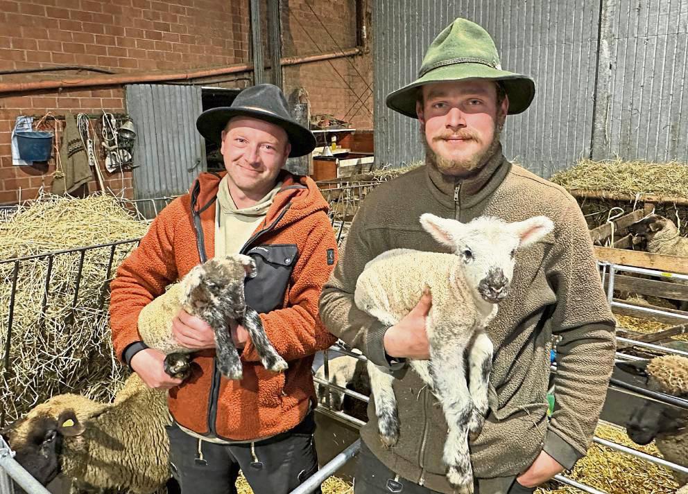 Wohlbehalten zurück in Mettinghausen: Tobias Kemper (l.) hat sich mit der Wanderschäferei einen Kindheitstraum erfüllt. Mitarbeiter Christian Endres war mit vor der Partie. Jetzt sind die beiden Schäfer rund um die Uhr als Geburtshelfer im Einsatz. Foto: Carolin Cegelski