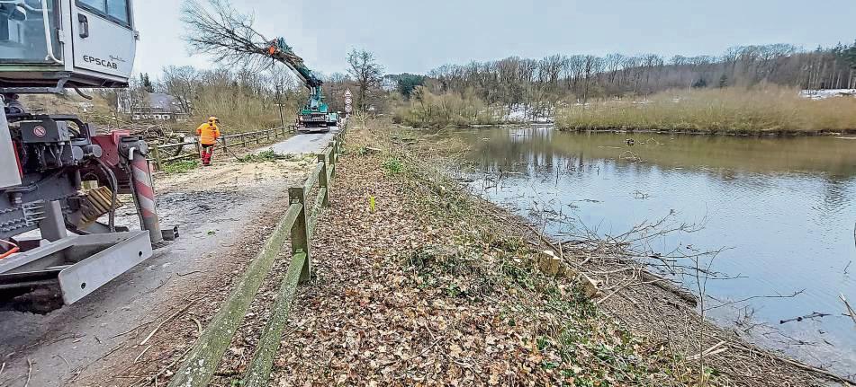 Die Zufahrt zur Wameler Brücke wird ab dem Spätsommer umgebaut. Aus Rücksicht auf die Wasservögel fanden die Rodungsarbeiten jetzt schon statt. Foto: Ruhrverband