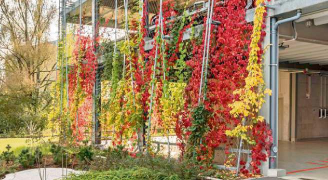 Grün statt Beton: Das Parkhaus im Quartier Südliche Altstadt bekommt eine Fassade nach diesem Vorbild. Das Parkhaus steht in Linz. Foto: Stadt Lippstadt