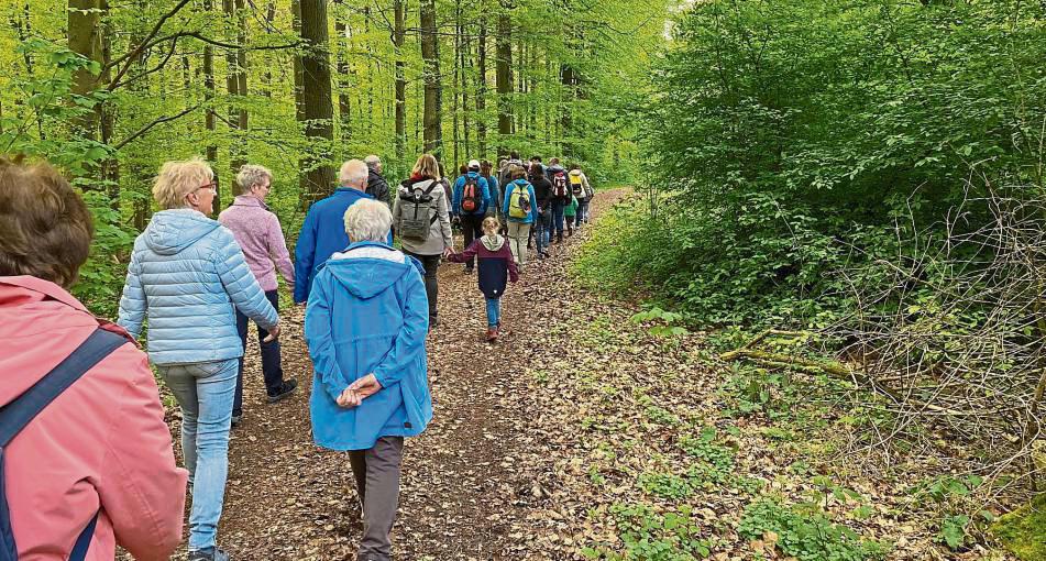 Kreuz und quer durch den Brockbusch ging die Tour der ABU. Foto: N. Gerwin
