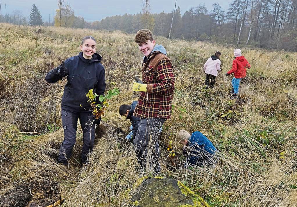 Mehr als 10 000 Bäume brachten Schülerinnen und Schüler, Familien und freiwillige Helfer gemeinsam mit dem Förderverein Zukunftswald in die Erde.