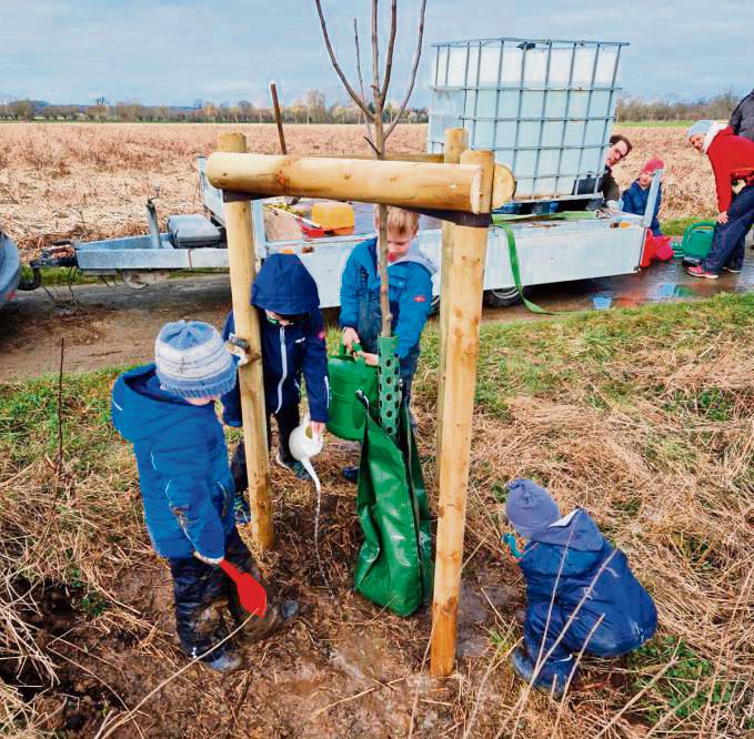 Der Verbund pflanzt wieder Bäume in der Geseker Feldflur – und begeistert damit auch Kinder.