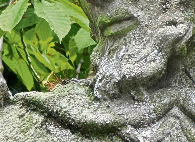 Welches Wahrzeichen suchen wir? Foto: N. Wissing