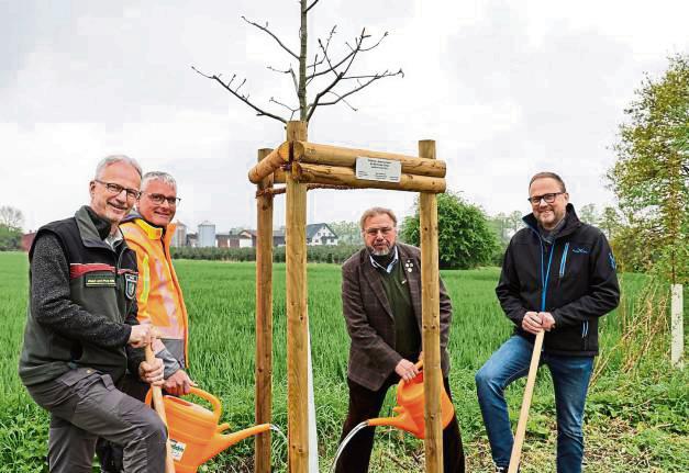Forstamtsleiter Edgar Rüther, Mario Lammers vom Bauhof Anröchte, Franz-Ferdinand Gröblinghoff von der Schutzgemeinschaft Deutscher Wald und Bürgermeister Alfred Schmidt (v.l.) pflanzten den Baum.