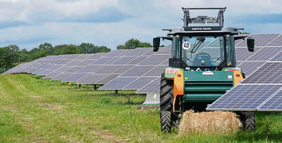 Zwischen Hoinkhausen und Weickede: Auf einer landwirtschaftlichen Fläche sollte eine Agri-Photovoltaikanlage entstehen – doch der Antrag wurde zurückgezogen. Symbolfoto: dpa