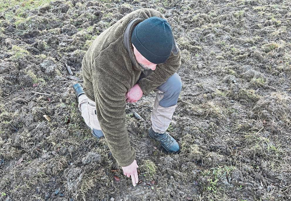 Inmitten des aufgewühlten Bodens erkennt Survival-Experte Jens Habich das Trittsiegel eines Wildschweins. Fotos: Anja Bsdurek