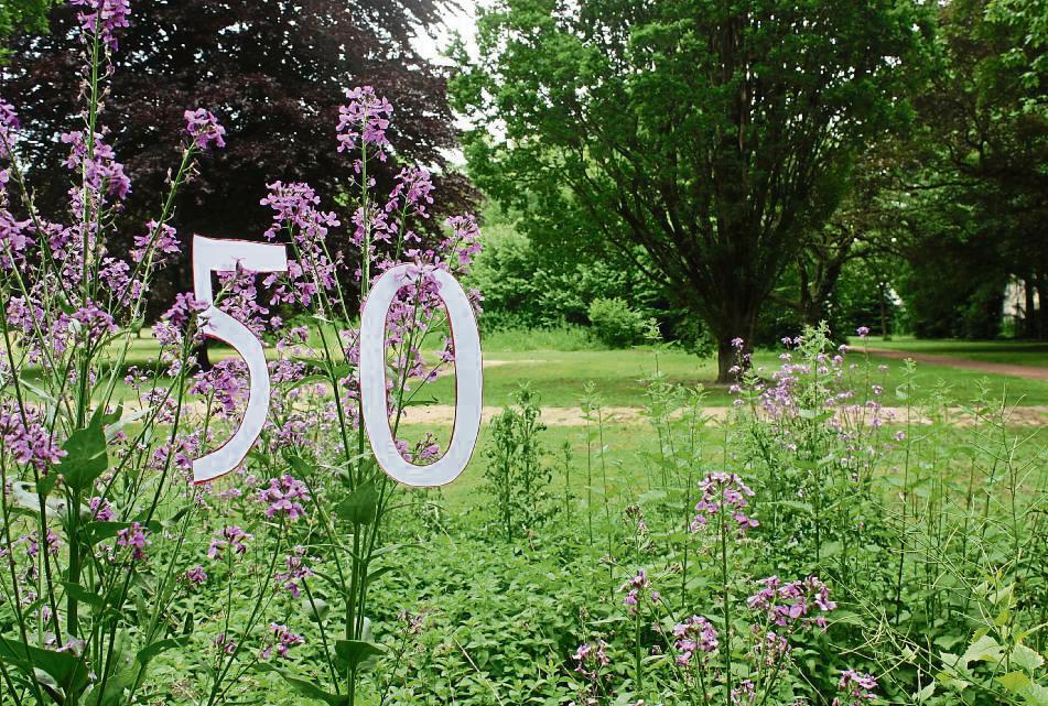 Im Jahr 2025 feiert Erwitte 50-jähriges Jubiläum. Ein Teil der Feierlichkeiten könnte auf dem umgestalteten Schlossgelände stattfinden. Foto: Dormels
