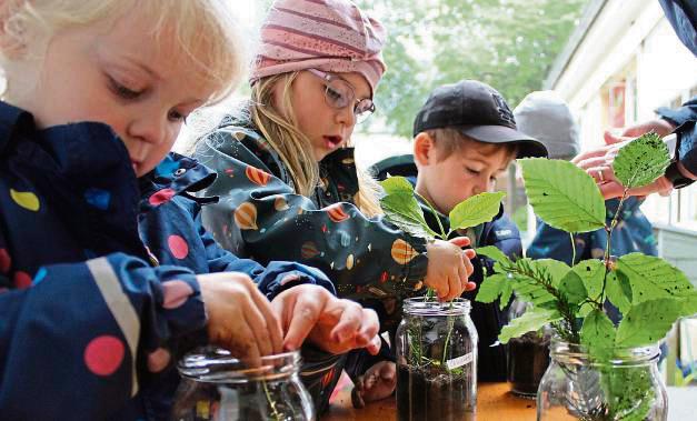 Unter Annette Dusnys Anleitung gestalten die Kinder ihre Glasgärten. Foto: Mintert