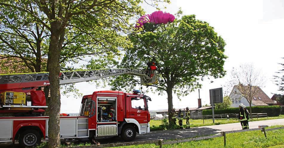 Er wird seinen ersten Fallschirmsprung wohl nie vergessen: Ein Fallschirmspringer (62) aus Lippstadt ist am Mittwoch in einer Baumkrone gelandet.