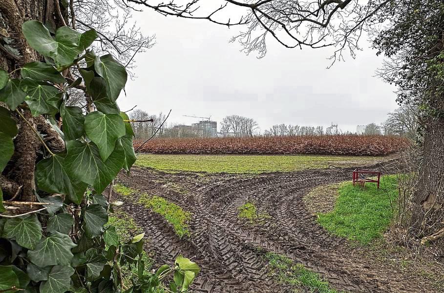 Die Pläne für ein Baugebiet in Lippstadt-Nord sorgen für Diskussion: „An der Schreibhütte“ soll auf einem fünf Hektar großen Areal die „spürbare Nachfrage“ nach Wohnraum bedient werden. Foto: Cegelski
