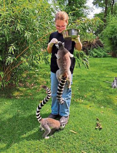 Lemurenfütterung: Pia Wischnewski aus Bökenförde erlebte einen Tag im Tierpark in Hamm.