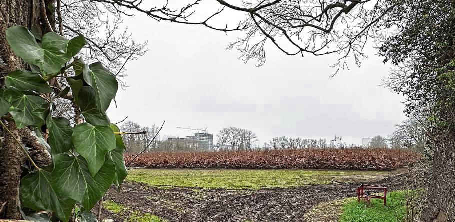 110 Wohneinheiten sollen nach Vorstellung der Stadt im Lippstädter Norden entstehen – im Baugebiet „An der Schreibhütte“. Das Thema kommt im Stadtentwicklungsausschuss am Donnerstag auf den Tisch. Foto: Cegelski
