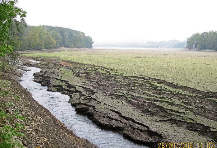 Ab der zweiten Septemberwoche beginnt der Ruhrverband mit der Absenkung des Wasserspiegels im Wameler Vorbecken – so wie hier im Jahr 2009. Archivfoto: Ruhrverband