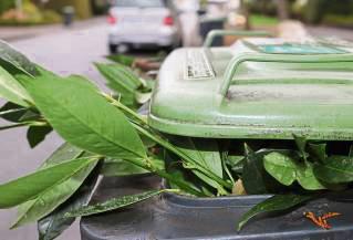 Wegen der Feiertage wird der Biomüll anders geleert.