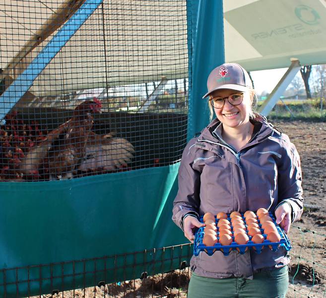 Die Hennen von Kirsten Gierse-Westermeier stehen unter Stallpflicht – dank Wintergarten bekommen sie trotzdem frische Luft.
