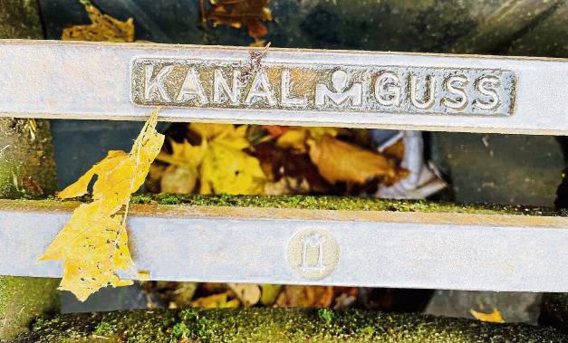 Die Blätter fallen – und zwar auch in die Gullys der Stadt. Darin sieht Susanne Schulte-Döinghaus (CDU) eine Hochwassergefahr. Foto: Dietz