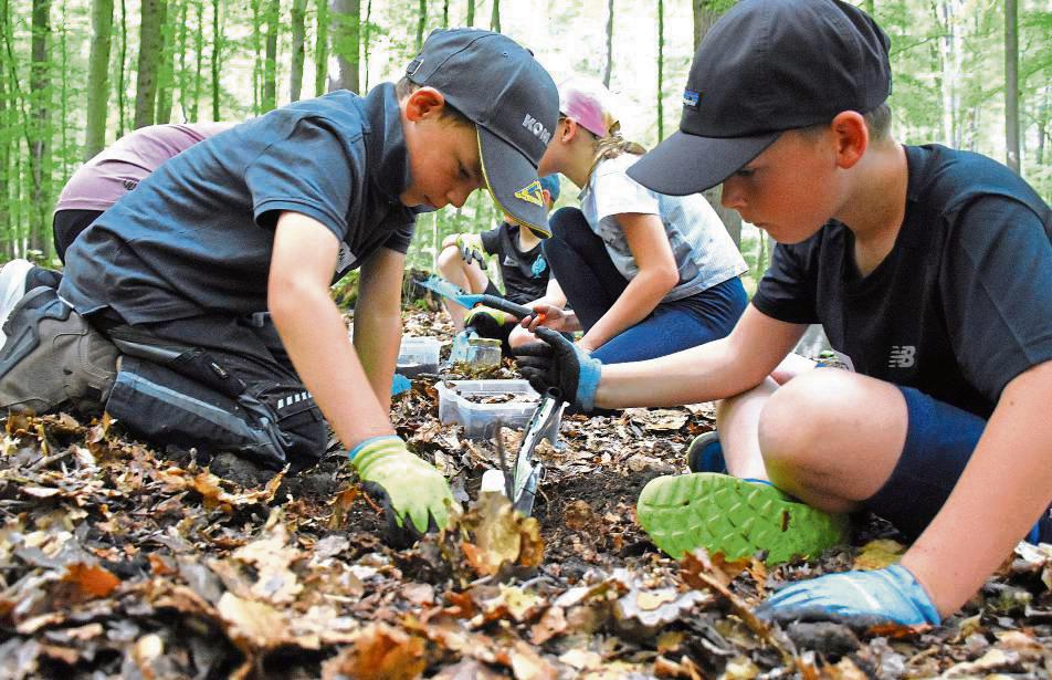 Nach Kleinstlebewesen buddelten die Kinder im Esper Wald. Fotos: Giannakis