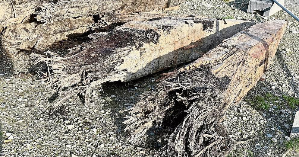 Mehr als zwei Meter lang sind die alten Holzpflöcke, die nun an die die LWL-Archäologie übergeben werden. Foto: Stadt Rietberg