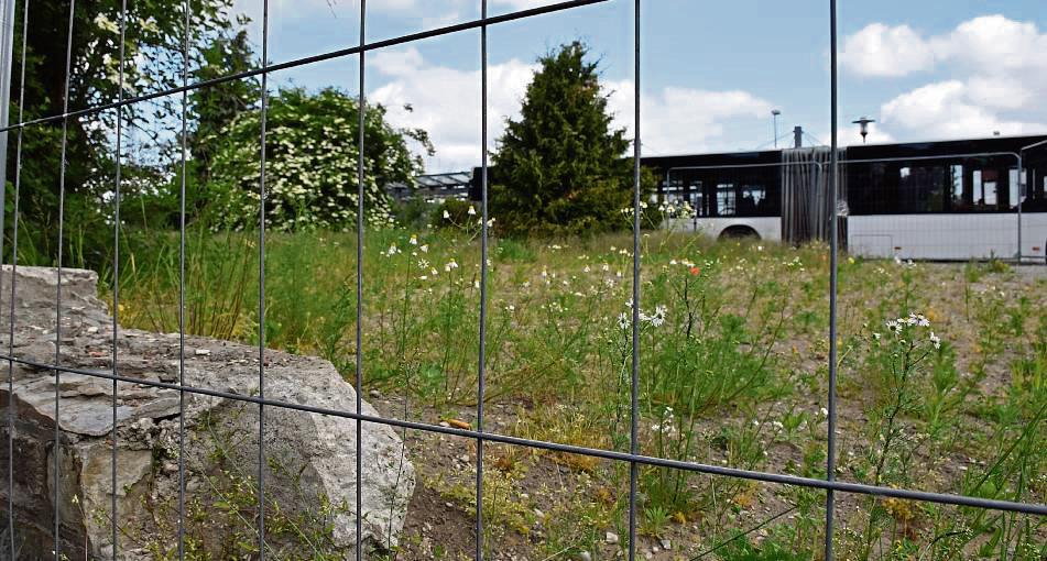Das Haus ist weg, im Herbst werden an dieser Stelle 24 Parkplätze sowie 42 Fahrrad-Stellplätze entstehen. Foto: Kossack