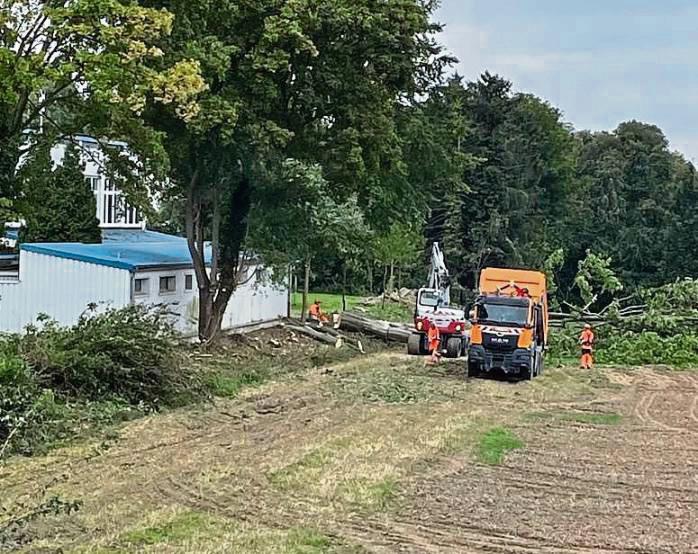 Baum fällt: Der Bauhof des Kreises Soest war jetzt an der ehemaligen Erich-Kästner-Schule im Einsatz.