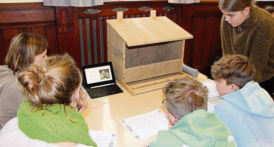 Achtklässler in Aktion: Eine Projektgruppe recherchierte zum Brutverhalten von (Turm-)Falken und baute einen großen Nistkasten aus Holz. Foto: FSG (Neumann)