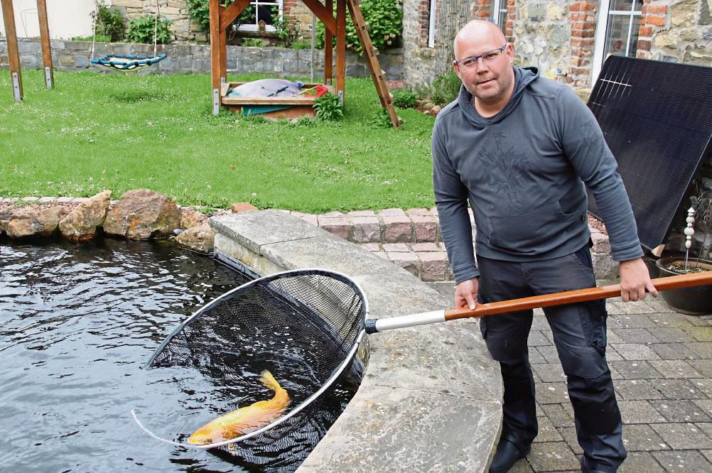 Ins Netz gegangen: In seinem Teich fängt Sebastian Gerken einen Koi. Foto: Meschede