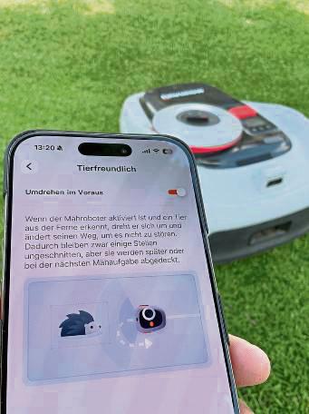 Nächtliche Gefahr für Igel: der Mähroboter. Über ein Nachtfahrverbot wurde im Ausschuss heiß diskutiert. Foto: Mund