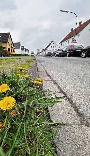 Wieder ein Grünstreifen – allerdings auf der Nordseite: die Straße Am Weinberg.