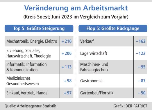 Nicht alle Branchen entwickeln sich positiv. Wichtige Wirtschaftsabteilungen im Kreis Soest sind übrigens das Gesundheitswesen (11 000), Handel (8750), Herstellung von elektrischen Ausrüstungen (6850), Metallerzeugnisse (6500).