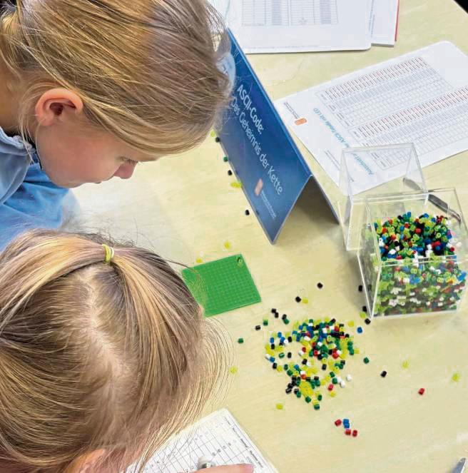 Wie funktioniert ein Computer? Unter anderem um diese Frage ging’s jetzt an der Grundschule in Horn.