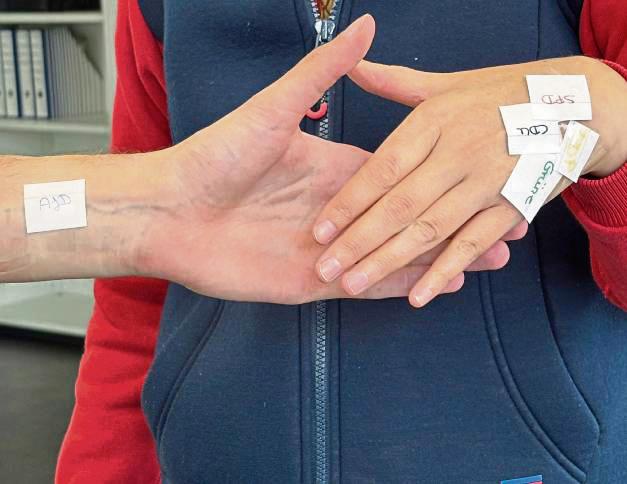 Die AfD will den Anröchter Parteien die Hand reichen. Doch die wollen nicht oder warten ab. Foto: Dagmar Meschede