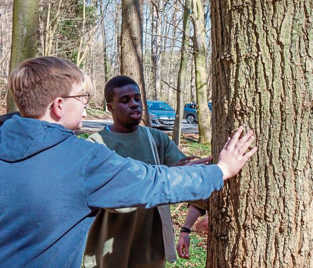 Den Baum ertasten: Die Schüler der LWL-Blindenschule erkundeten den Anröchter Wald. Foto: Eickhoff