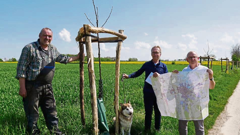 Freuen sich über die jungen Bäume (v.l.) : Franz Ebers (Ebers Gartenbau), Andreas Vollmer (Naturschutzverein Verbund) und Peter Stephan (Stadt Geseke). Foto: Stadt Geseke