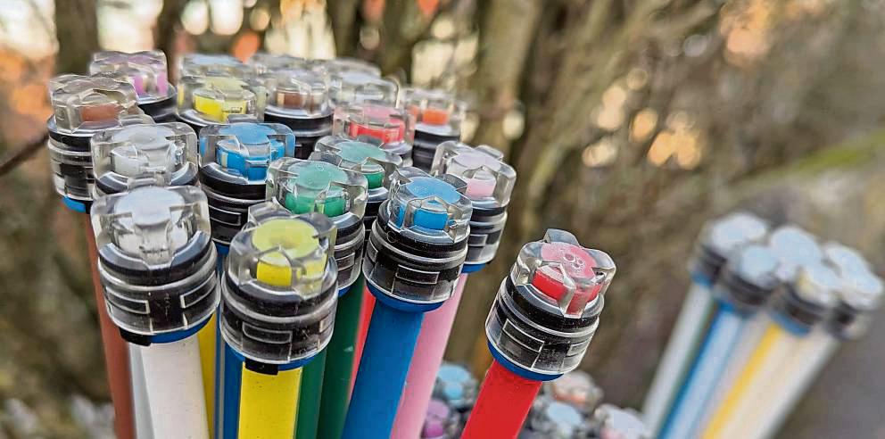 Der farbenfrohe Strauß sähe fast schön aus, wenn es nicht so ein Ärgernis wäre mit der Glasfaser: Das Thema umtreibt Berge auch jetzt noch – dreieinhalb Jahre nach dem ersten Spatenstich im Sommer 2022. Archivfoto: Henrike Raestrup