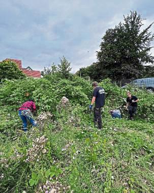 Engagierte waren ehrenamtlich im Einsatz – für Igel.