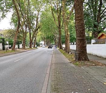 Die Pflicht, den Radweg zu benutzen, ist an der Südstraße aufgehoben: Geprüft werden soll trotzdem, ob der alte Radweg ein neues Pflaster kriegen kann.
