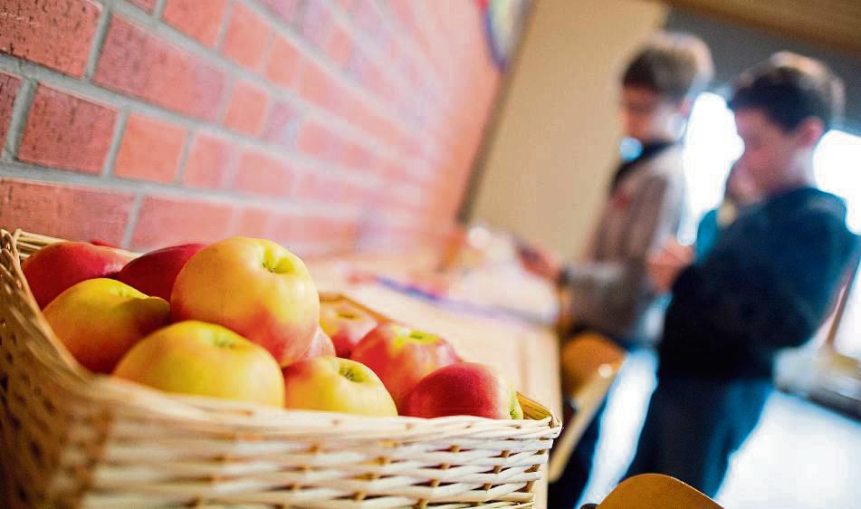 Obst trägt einen entscheidenden Anteil an gesunder Ernährung. Auch deshalb sollen Geseker Schüler in Zukunft kostenlosen Zugang zu Äpfel, Bananen und Co. bekommen. Foto: dpa