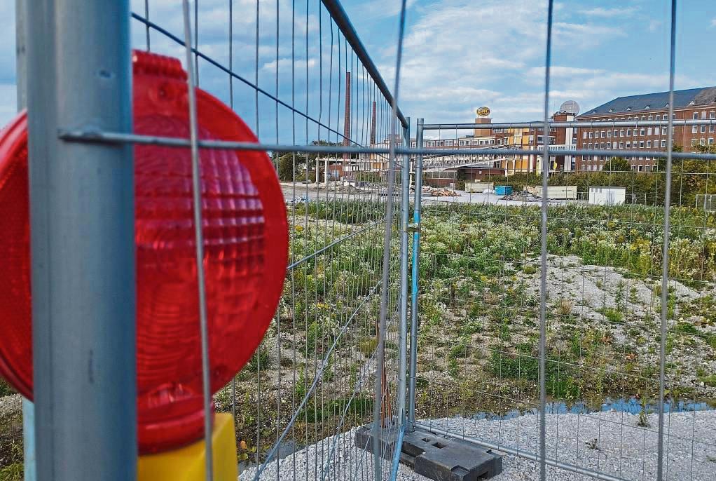 Vorerst eine Baustellen-Brache bleibt die Fläche vorm Hella-Hauptsitz an der Rixbecker Straße. Der Autozulieferer hat die Pläne für Cells bis 2026 auf Eis gelegt. Foto: Niggenaber