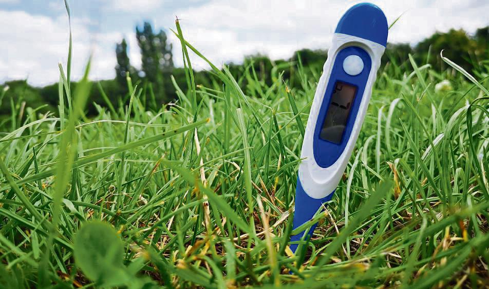Laut einer aktuellen Studie sind 20 Prozent der Jugendlichen ahnungslos, was Erderwärmung und Klimawandel angeht. Erwitter Schüler halten dagegen. Archivfoto: Otten