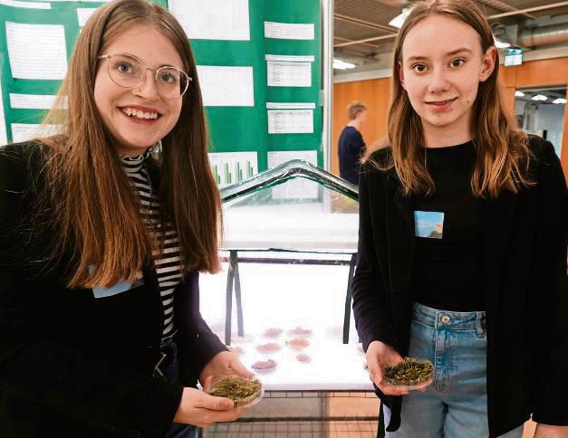 Ausgezeichnet: Sophie Cramer (l./14) und Marleen Röring (15) vom Friedrich-Spee-Gymnasium in Rüthen erhielten einen Sonderpreis für ihre Forschung zu Moosen.
