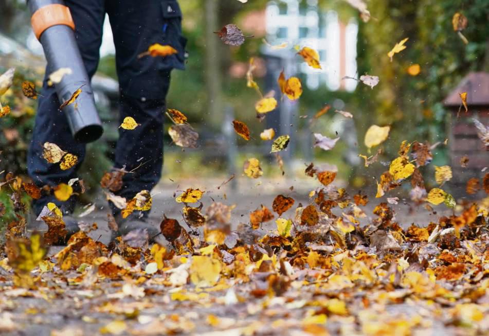 Am Baum leuchten sie dekorativ in bunten Farben, auf dem Boden gefallen machen sie viel Arbeit: die Herbstblätter. Für Laubbläser gelten eingeschränkte Betriebszeiten.