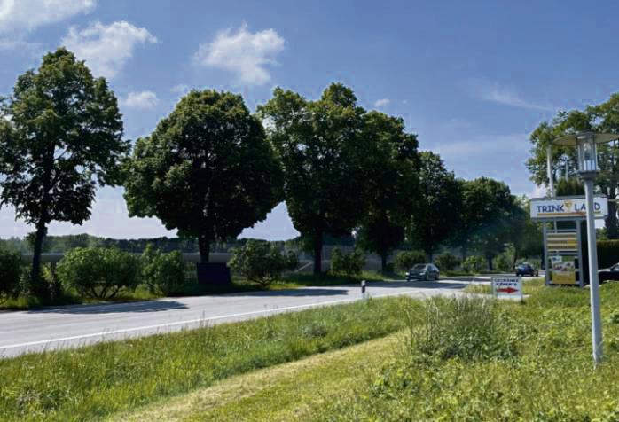 Zukunftsvision: In dieser Darstellung sind die Solarmodule entlang der Ostlandstraße aufgeständert. Durch die Hecke, die angepflanzt werden soll, sind sie aber kaum sichtbar.