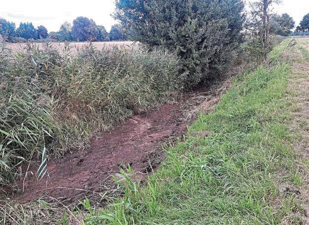 War in den vergangenen Tagen zeitweise trocken gefallen: der Bachlauf „Holser Flüthe“. Foto: Michael Schulte