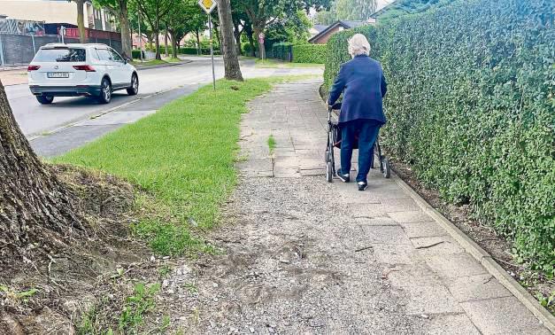 Abgefräste Wurzeln, krumme Platten: Für Senioren mit Rollatoren ist der Weg eine echte Herausforderung. Fotos: VielbERG