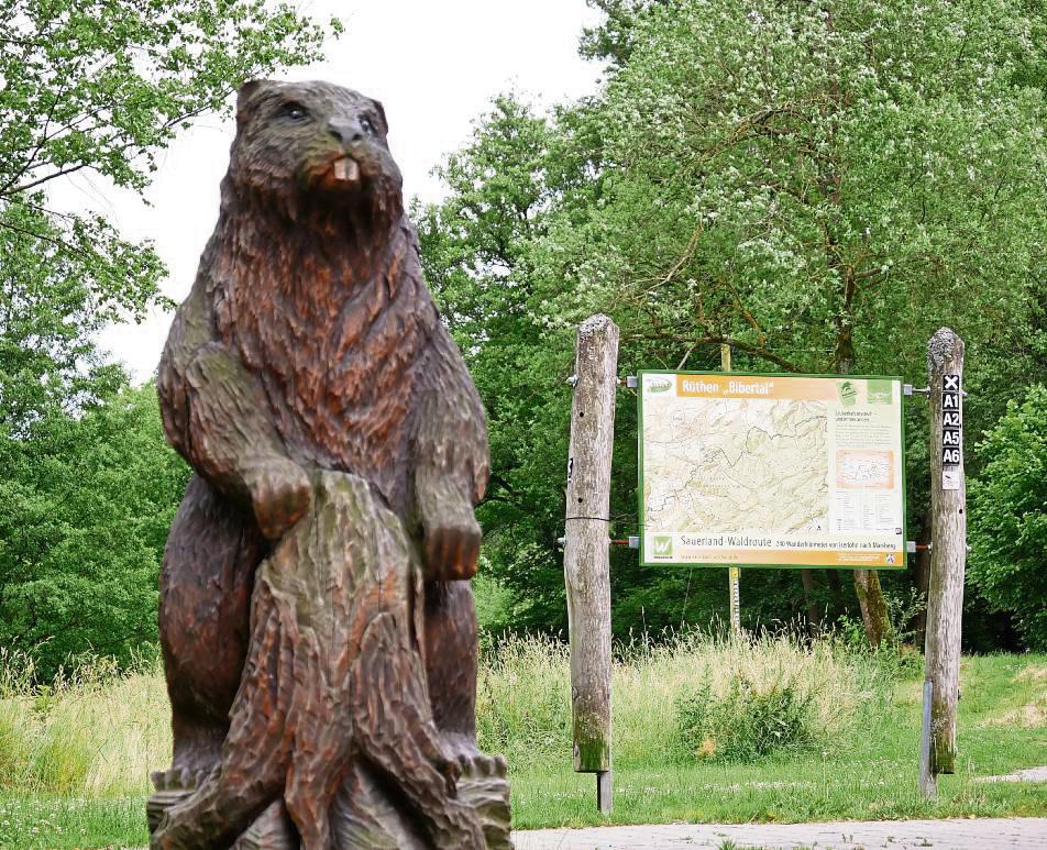 Noch in diesem Jahr soll die Instandsetzung des Biberpfads starten. Mitarbeiter des Naturparks Ansberger Wald haben dazu ihre Ideen vorgestellt. Foto: Bsdurek